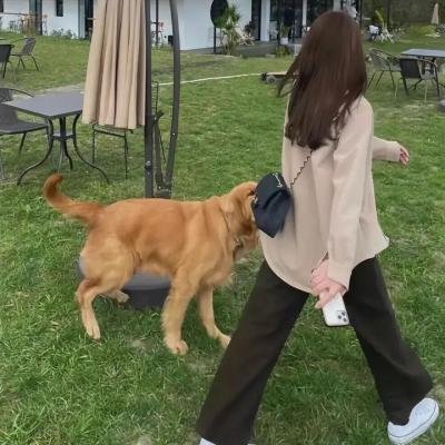 我的子弹会转弯