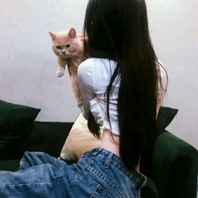 风人物语